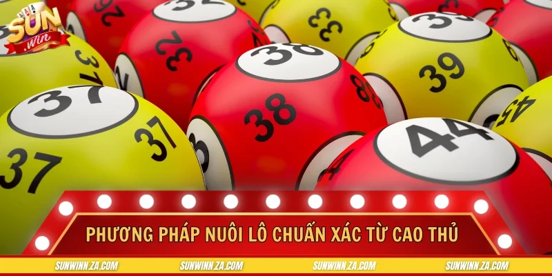 Phương pháp nuôi lô chuẩn xác từ cao thủ