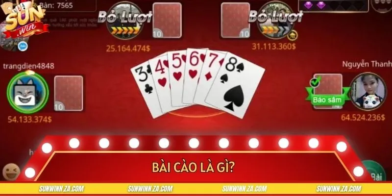 Tìm hiểu về bài Cào