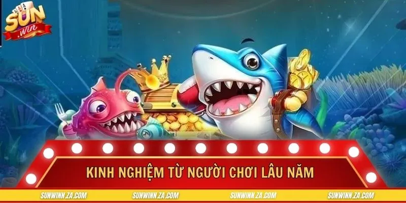 Kinh nghiệm từ người chơi lâu năm bạn có thể tham khảo